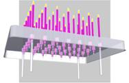 graphic perspective image of CakeGuard with candles and support posts
